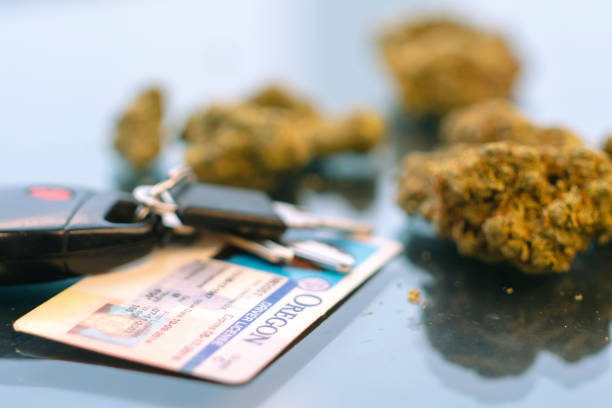 ../img/denvercannabiscard.jpg