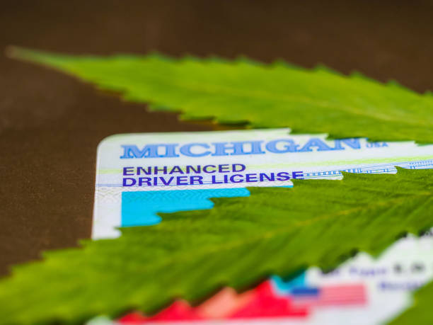 What is the cost associated with getting a medical marijuana card in Denver?